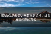 揭秘p站的秘密：从忽视到追捧，细看发现问题的真相