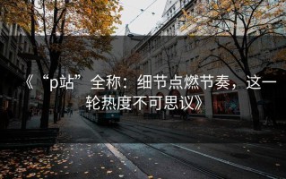 《“p站”全称：细节点燃节奏，这一轮热度不可思议》