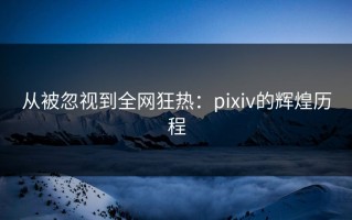 从被忽视到全网狂热：pixiv的辉煌历程
