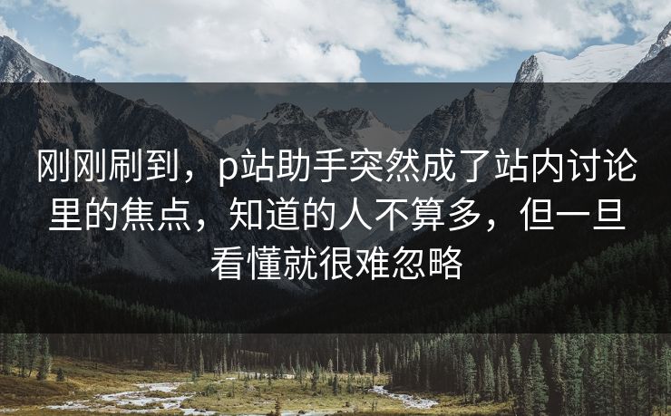 刚刚刷到，p站助手突然成了站内讨论里的焦点，知道的人不算多，但一旦看懂就很难忽略-第1张图片-p站搬运工影视网 | p站网页版推荐站