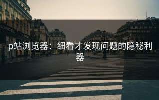p站浏览器：细看才发现问题的隐秘利器