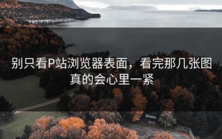 别只看P站浏览器表面，看完那几张图真的会心里一紧