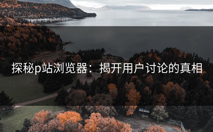 探秘p站浏览器：揭开用户讨论的真相-第1张图片-p站搬运工影视网 | p站网页版推荐站